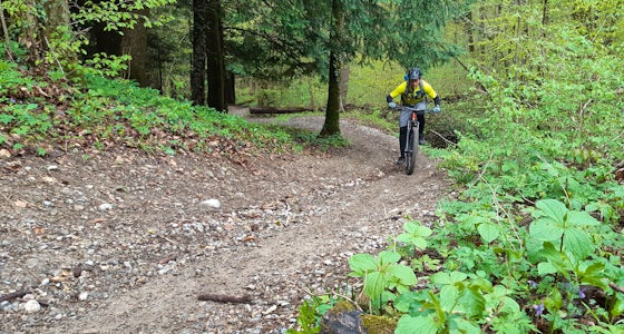 Bikeschule Zürcher-Oberland